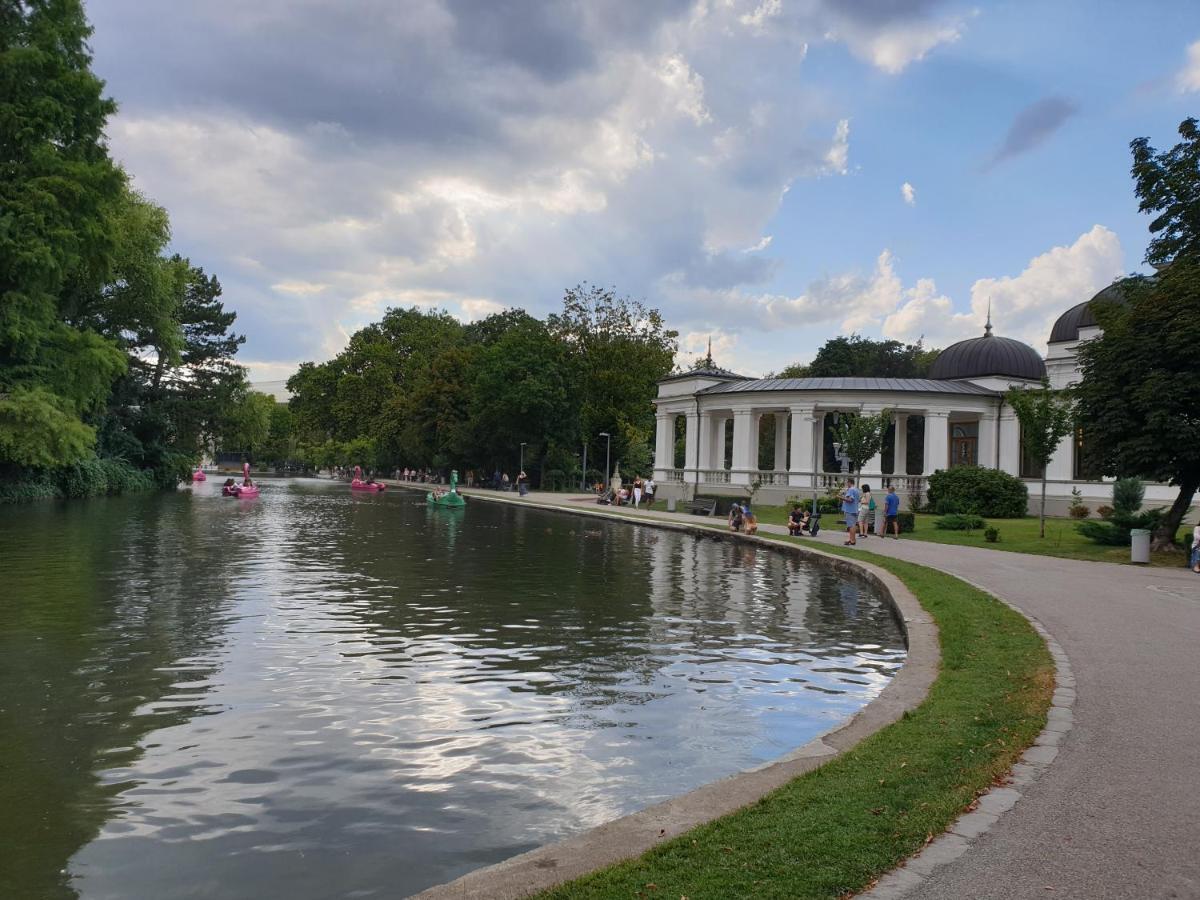 Luxury City Centre With Barbecue Grill * Cluj-Napoca