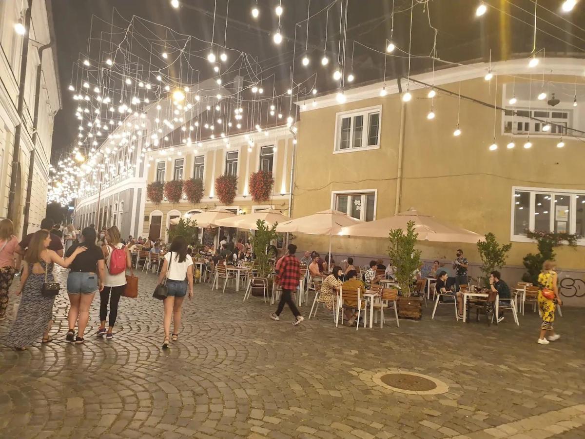Apartment Luxury City Centre With Barbecue Grill Cluj-Napoca